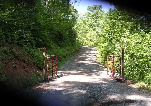 Photo 4 of Land for sale at 247 Rice Ln, Marble, NC 28905 | MLS# 98543818 | Listing updated on 2026-08-19