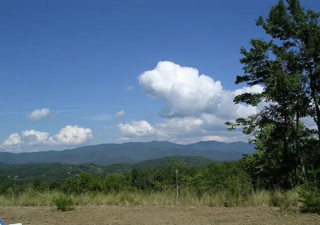 Photo 5 of Land for sale at 247 Rice Ln, Marble, NC 28905 | MLS# 98543818 | Listing updated on 2026-08-19
