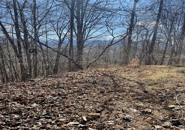 Homes for sale in Hayesville, NC | Lot 37c Ash Branch Cir, Hayesville, NC 28904 | MLS# 98525053