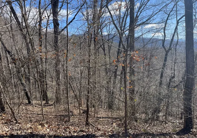 Homes for sale in Hayesville, NC | Lot 37C Ash Branch Cir, Hayesville, NC 28904 | MLS# 98525053