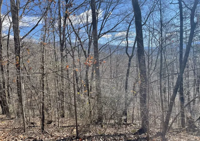 Homes for sale in Hayesville, NC | Lot 37C Ash Branch Cir, Hayesville, NC 28904 | MLS# 98525053