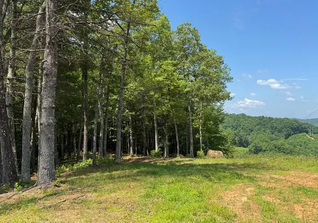 Homes for sale in Murphy, NC | Lot 69 Thundering Hl, Murphy, NC 28906 | MLS# 98543794