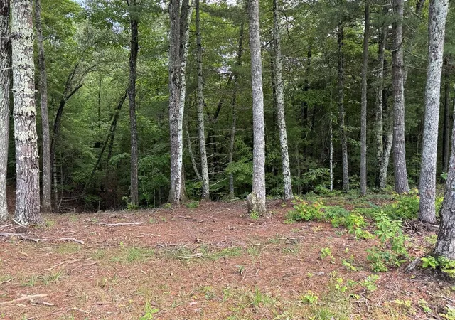 Homes for sale in Murphy, NC | Lot 69 Thundering Hl, Murphy, NC 28906 | MLS# 98543794