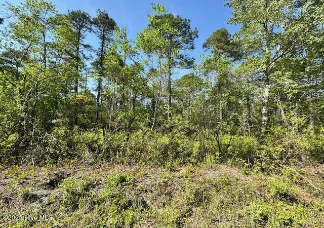 Photo 1 of Land for sale at 308 Plantation Rd, Wilmington, NC 28411 | MLS# 100512398 | Listing updated on 2026-09-12