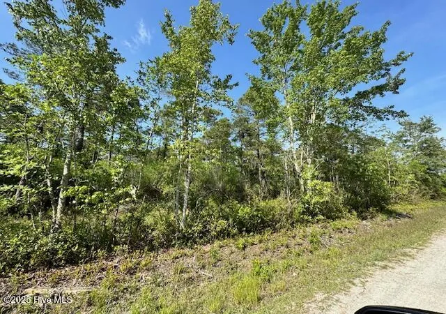 Photo 2 of Land for sale at 308 Plantation Rd, Wilmington, NC 28411 | MLS# 100512398 | Listing updated on 2026-09-12