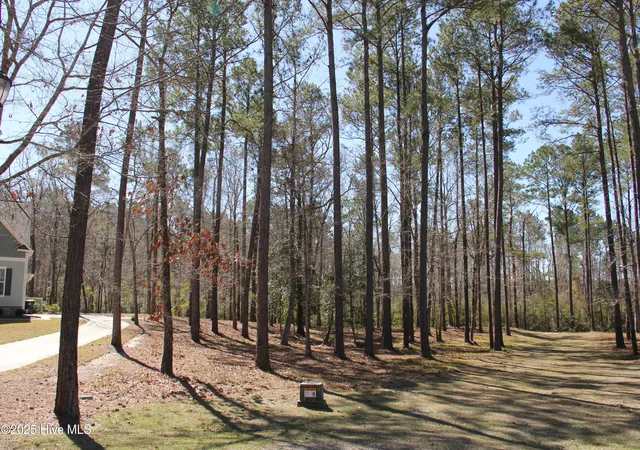 Photo 3 of Land for sale at 487 Hearthside Dr Se, Bolivia, NC 28422 | MLS# 100496599 | Listing updated on 2026-08-19
