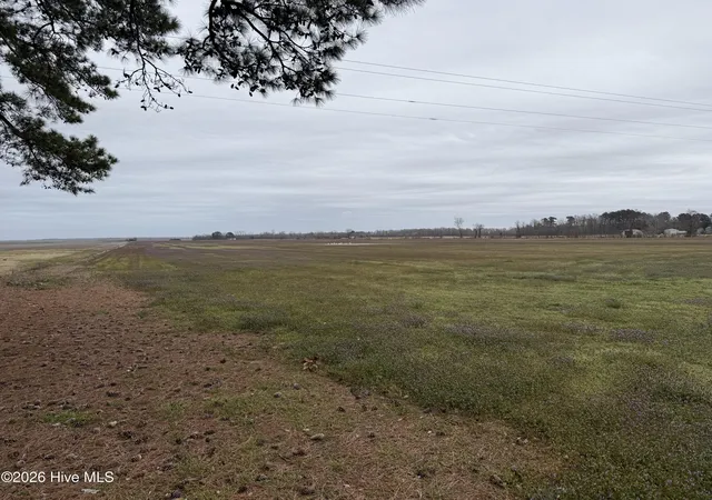 3rd image of 0 Nc 99, Pantego, NC 27860 | MLS# 100555818