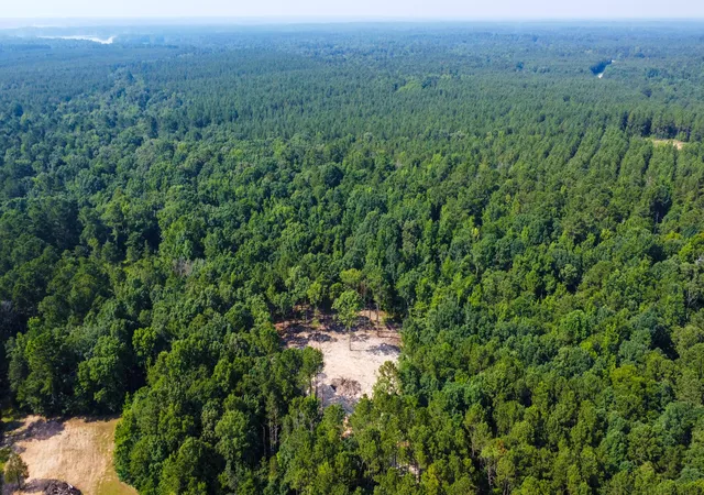 2nd image of 0 Backway Rd, Lincolnton, GA 30817 | MLS# 98224463