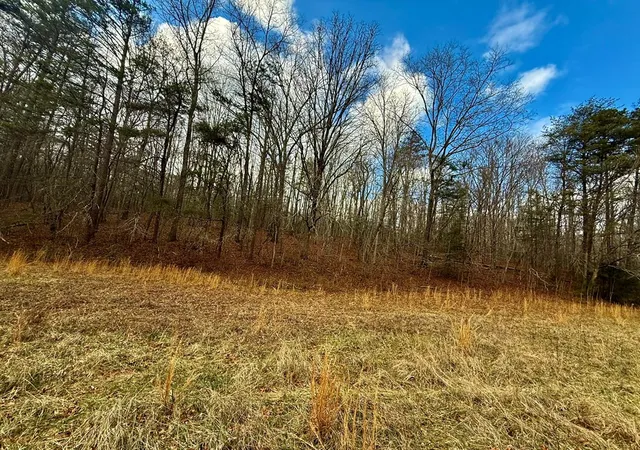 Homes for sale in Turtletown, TN | 0 Cedar Springs Rd, Turtletown, TN 37391 | MLS# 98519373