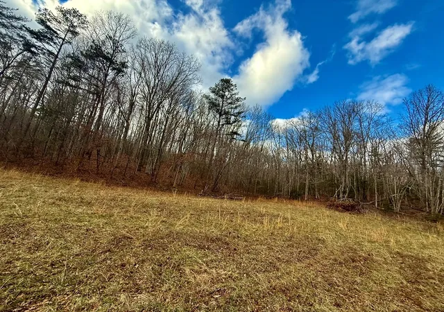 Homes for sale in Turtletown, TN | 0 Cedar Springs Rd, Turtletown, TN 37391 | MLS# 98519373