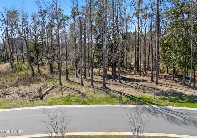 Photo 3 of Land for sale at 228 Preservation Point Ave, Wilmington, NC 28401 | MLS# 100497660 | Listing updated on 2026-08-19