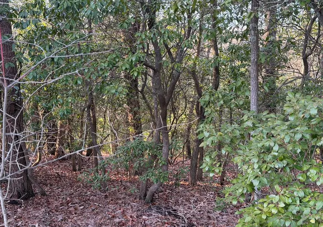 Photo 3 of Land for sale at Lot #118 Royal View Landing, Murphy, NC 28906 | MLS# 98524942 | Listing updated on 2026-08-19