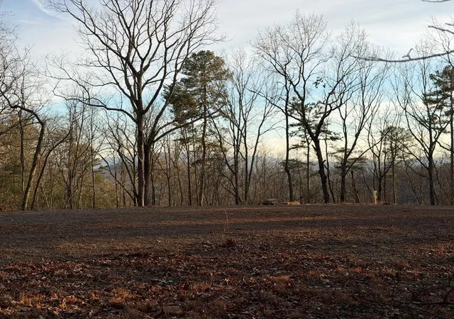 Photo 3 of Land for sale at Lot #118 Royal View Landing, Murphy, NC 28906 | MLS# 98524942 | Listing updated on 2026-08-19
