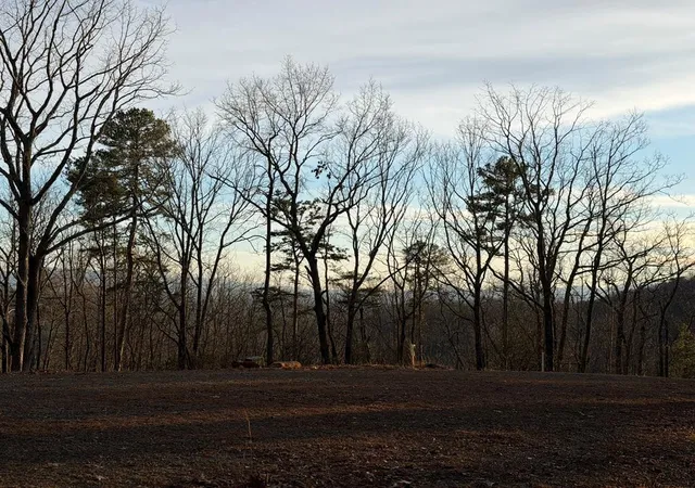 Photo 4 of Land for sale at Lot #118 Royal View Landing, Murphy, NC 28906 | MLS# 98524942 | Listing updated on 2026-08-19