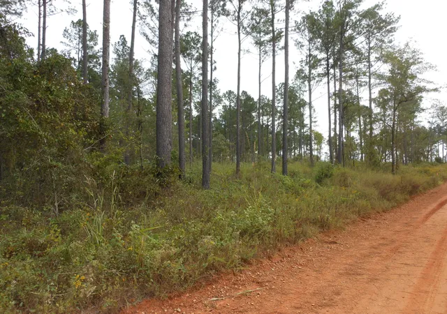 2nd image of 0 Hannah Ln, Keysville, GA 30816 | MLS# 98224507