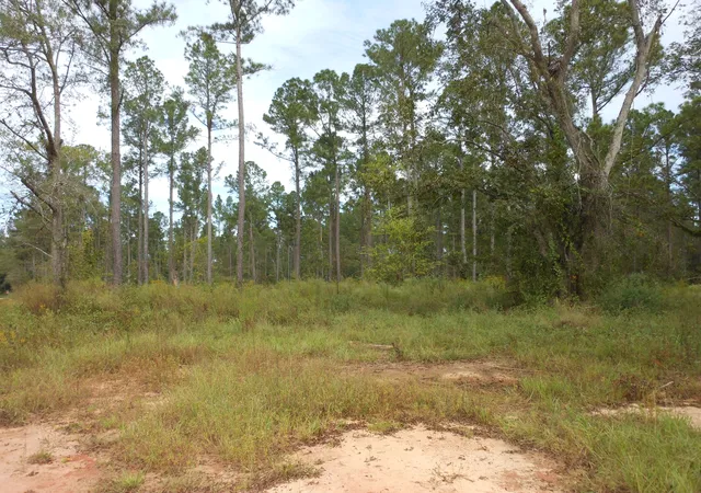 3rd image of 0 Hannah Ln, Keysville, GA 30816 | MLS# 98224507