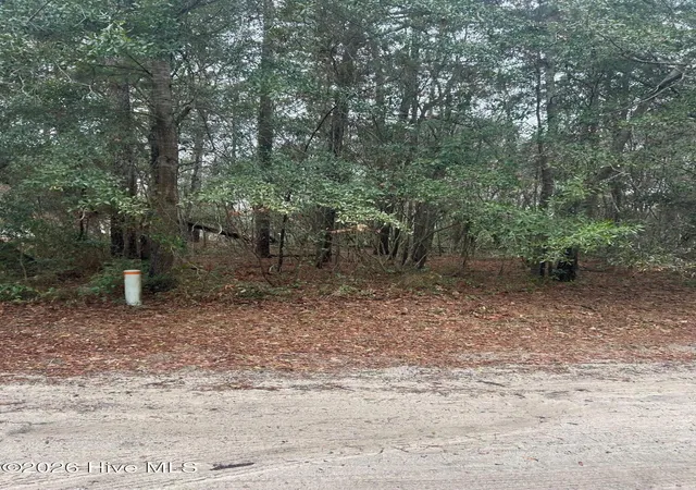 2nd image of 103 Dogwood Ln, Sneads Ferry, NC 28460 | MLS# 100552982