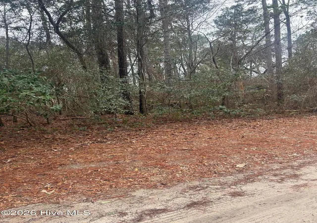3rd image of 103 Dogwood Ln, Sneads Ferry, NC 28460 | MLS# 100552982