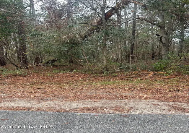 5th image of 103 Dogwood Ln, Sneads Ferry, NC 28460 | MLS# 100552982