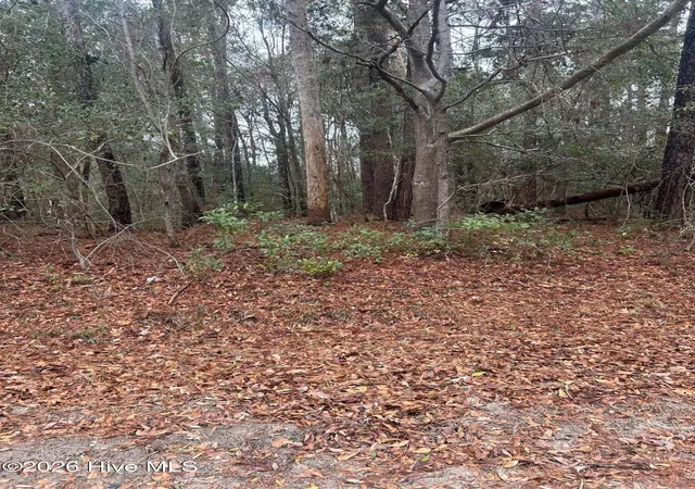 6th image of 103 Dogwood Ln, Sneads Ferry, NC 28460 | MLS# 100552982