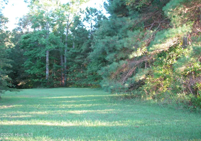 8th image of Lot 1 Summerby Rd, Roper, NC 27970 | MLS# 100583291