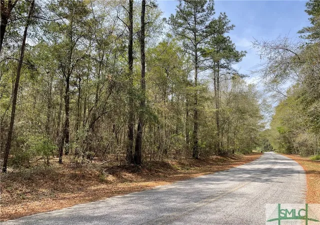 Photo 1 of Land for sale at 0 Pleasant Acres Rd, Springfield, GA 31329 | MLS# SA328138 | Listing updated on 2025-11-20