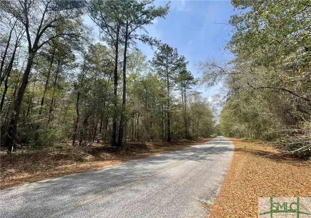 Photo 2 of Land for sale at 0 Pleasant Acres Rd, Springfield, GA 31329 | MLS# SA328138 | Listing updated on 2025-11-20