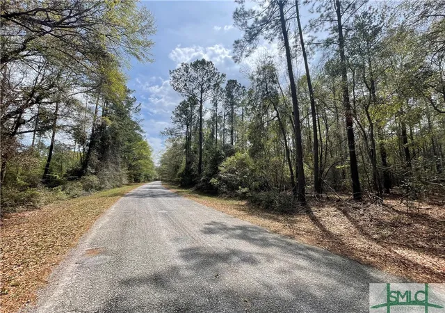 Photo 2 of Land for sale at 0 Pleasant Acres Rd, Springfield, GA 31329 | MLS# SA328138 | Listing updated on 2025-11-20