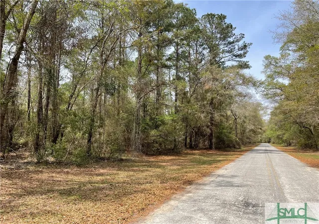 Photo 3 of Land for sale at 0 Pleasant Acres Rd, Springfield, GA 31329 | MLS# SA328138 | Listing updated on 2025-11-20