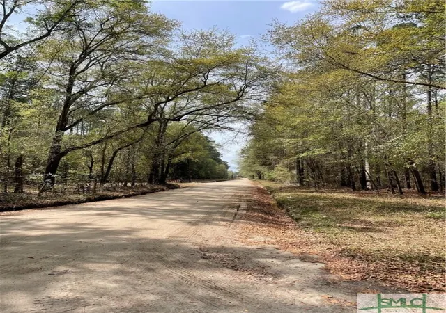 Photo 4 of Land for sale at 0 Pleasant Acres Rd, Springfield, GA 31329 | MLS# SA328138 | Listing updated on 2025-11-20