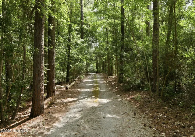 3rd image of 308 Silver Creek Landing Rd, Swansboro, NC 28584 | MLS# 100585027