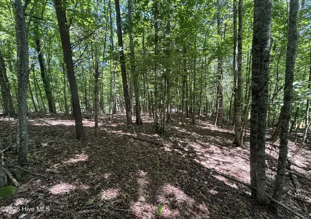 Homes for sale in Murphy, NC | 52A Pine Cove Lane, Murphy, NC 28906 | MLS# 100588219