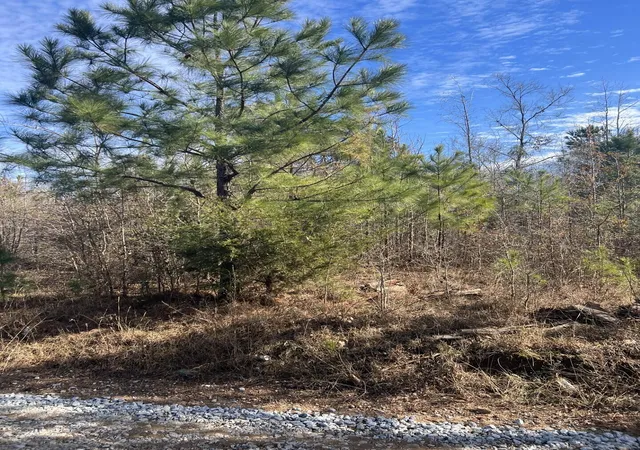 Photo 3 of Land for sale at 0 Clanton Rd, Evans, GA 30809 | MLS# 98223701 | Listing updated on 2026-06-20
