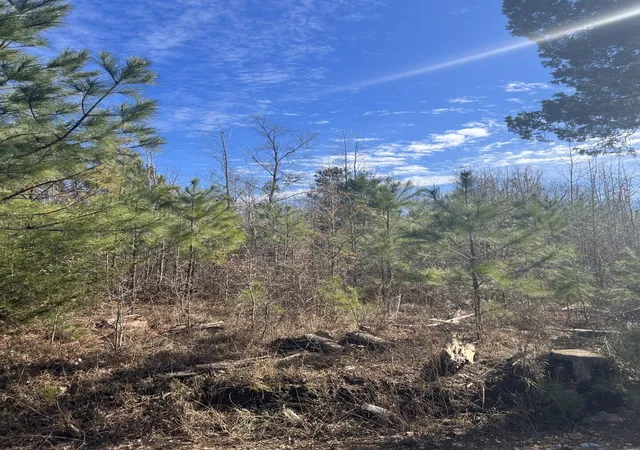 Photo 3 of Land for sale at 0 Clanton Rd, Evans, GA 30809 | MLS# 98223701 | Listing updated on 2026-06-20