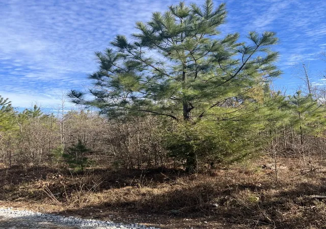 Photo 4 of Land for sale at 0 Clanton Rd, Evans, GA 30809 | MLS# 98223701 | Listing updated on 2026-06-20