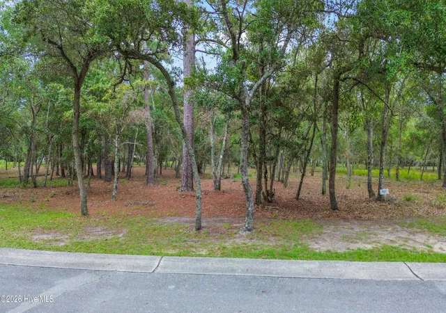 Photo 1 of Land for sale at 676 Parish Dr Sw, Supply, NC 28462 | MLS# 100600125 | Listing updated on 2026-09-29