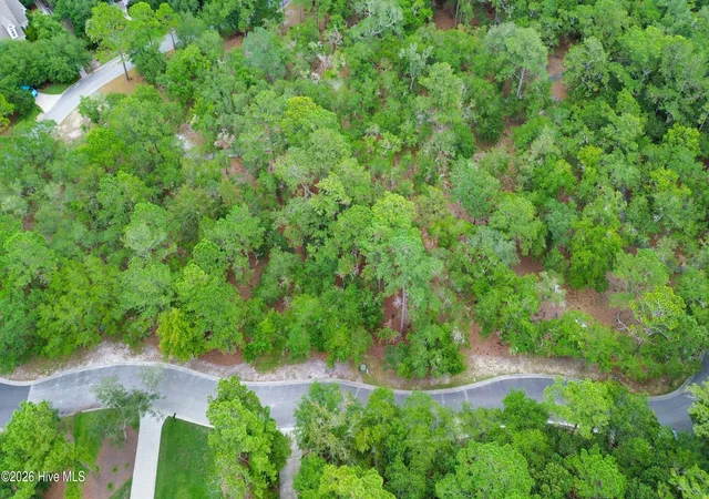 Photo 2 of Land for sale at 676 Parish Dr Sw, Supply, NC 28462 | MLS# 100600125 | Listing updated on 2026-09-29