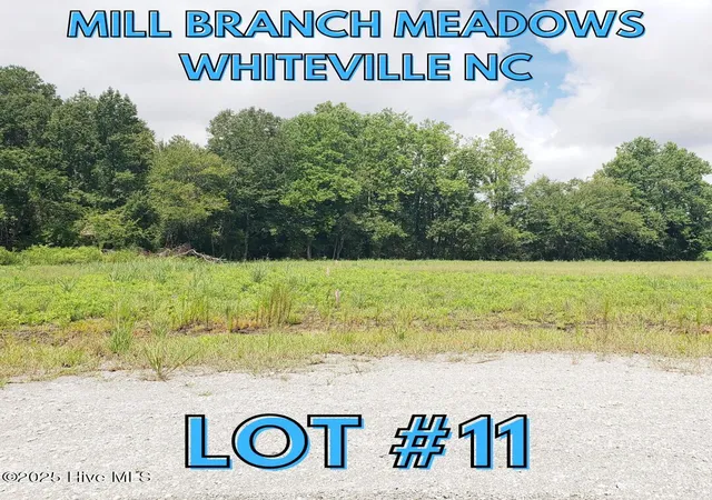 Homes for sale in Whiteville, NC | 112 Mill Branch Dr, Whiteville, NC 28472 | MLS# 100562146