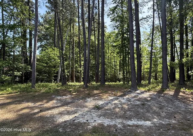 Photo 3 of Land for sale at 14 Greenwood Dr, Hertford, NC 27944 | MLS# 100544720 | Listing updated on 2026-05-10