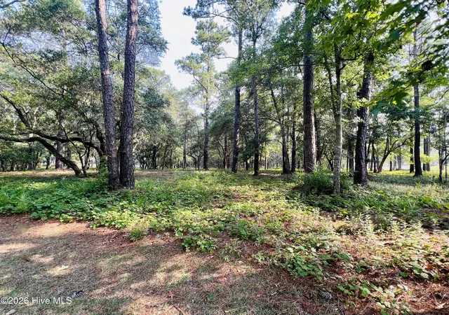 Photo 2 of Land for sale at 834 Blue Gill Ct Se, Bolivia, NC 28422 | MLS# 100588330 | Listing updated on 2026-07-13