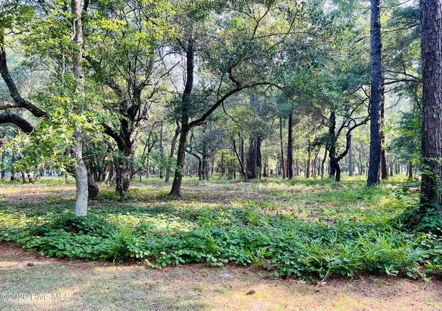 Photo 3 of Land for sale at 834 Blue Gill Ct Se, Bolivia, NC 28422 | MLS# 100588330 | Listing updated on 2026-07-13
