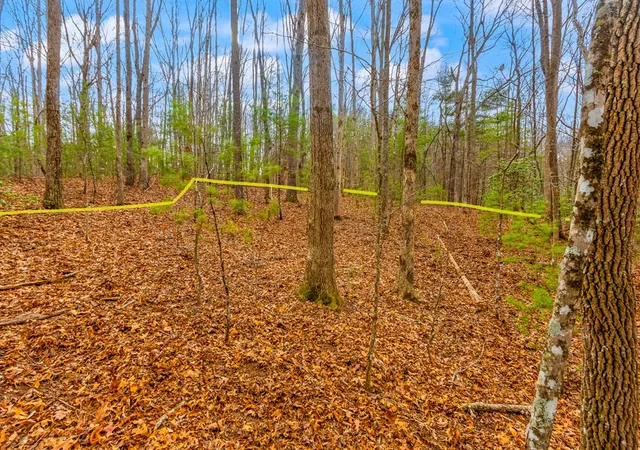 Photo 3 of Land for sale at 103 Ac Guy Eller Rd, Murphy, NC 28906 | MLS# 98539703 | Listing updated on 2026-09-16