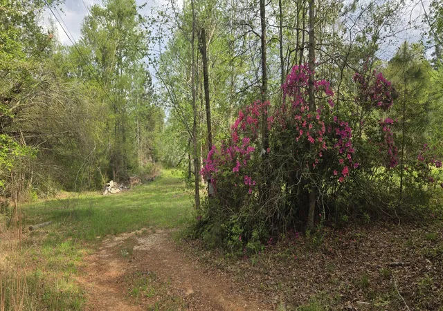 4th image of 0 Mcgahee Rd, Evans, GA 30809 | MLS# 98255769