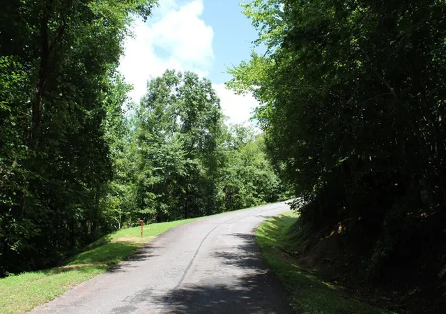Homes for sale in Hayesville, NC | Lot 62 Dan Knob, Hayesville, NC 28904 | MLS# 98524735