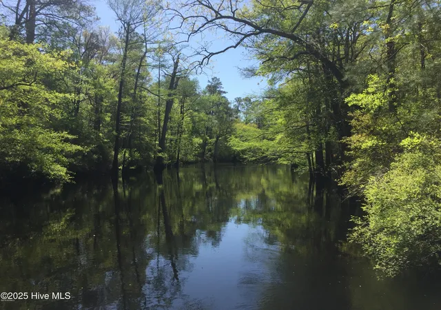 Photo 1 of Land for sale at 0 Highway 53, Burgaw, NC 28425 | MLS# 100537472 | Listing updated on 2026-08-07