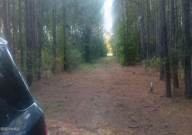 Photo 2 of Land for sale at 0 Highway 53, Burgaw, NC 28425 | MLS# 100537472 | Listing updated on 2026-08-07
