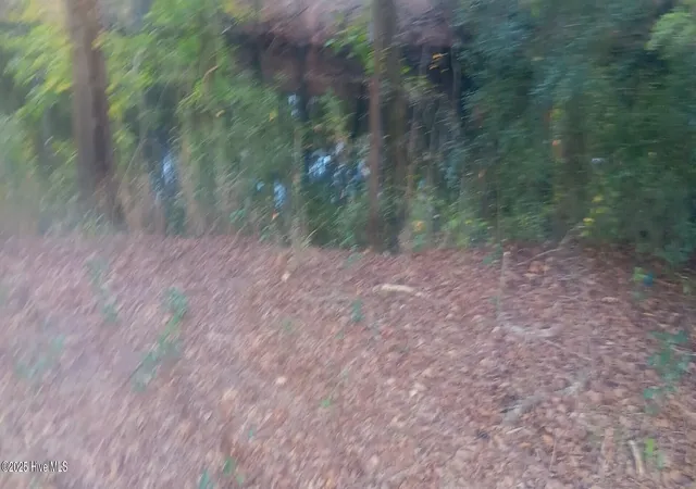 Photo 3 of Land for sale at 0 Highway 53, Burgaw, NC 28425 | MLS# 100537472 | Listing updated on 2026-08-07