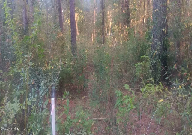 Photo 3 of Land for sale at 0 Highway 53, Burgaw, NC 28425 | MLS# 100537472 | Listing updated on 2026-08-07