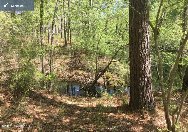 Photo 4 of Land for sale at 0 Highway 53, Burgaw, NC 28425 | MLS# 100537472 | Listing updated on 2026-08-07