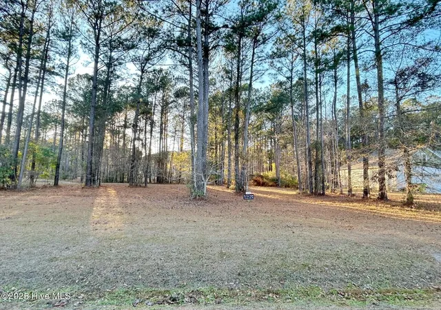 4th image of 59 Chickory Ln, Arapahoe, NC 28510 | MLS# 100481694